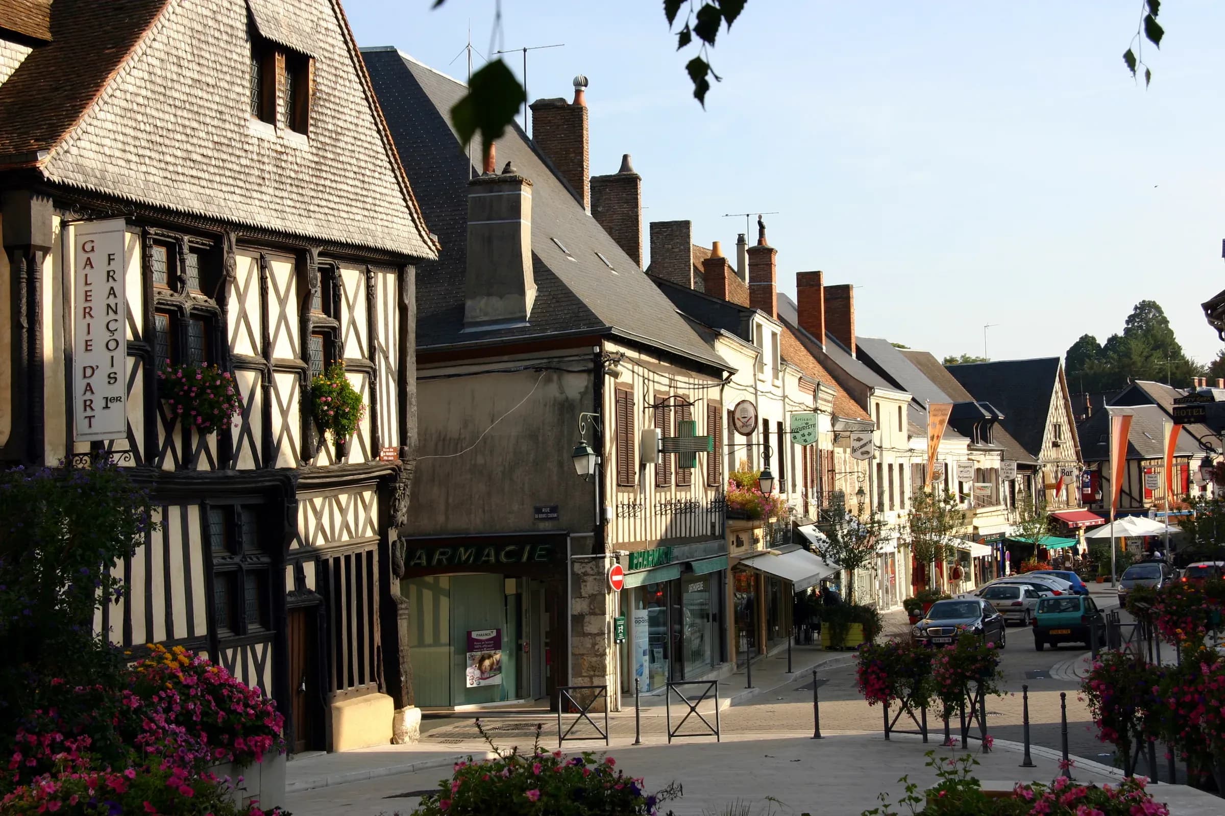 Maisons à pans de bois et rue commerçante fleurie d'Aubigny-sur-Nère