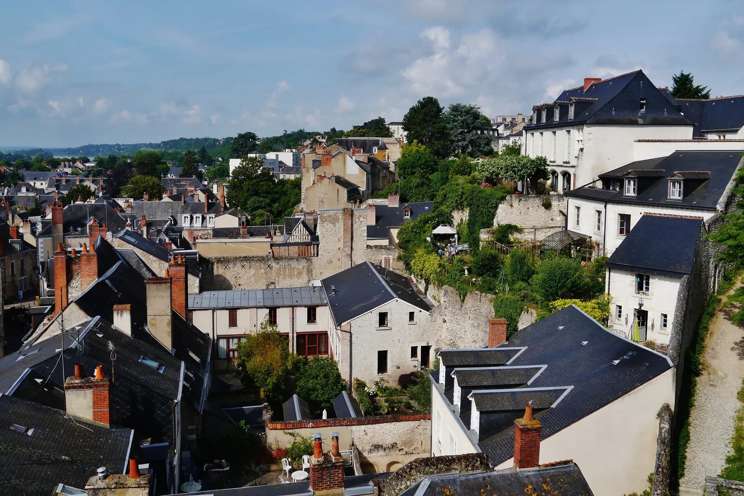 Toits d'ardoise et maisons de la vieille ville de Blois vus depuis la terrasse du château
