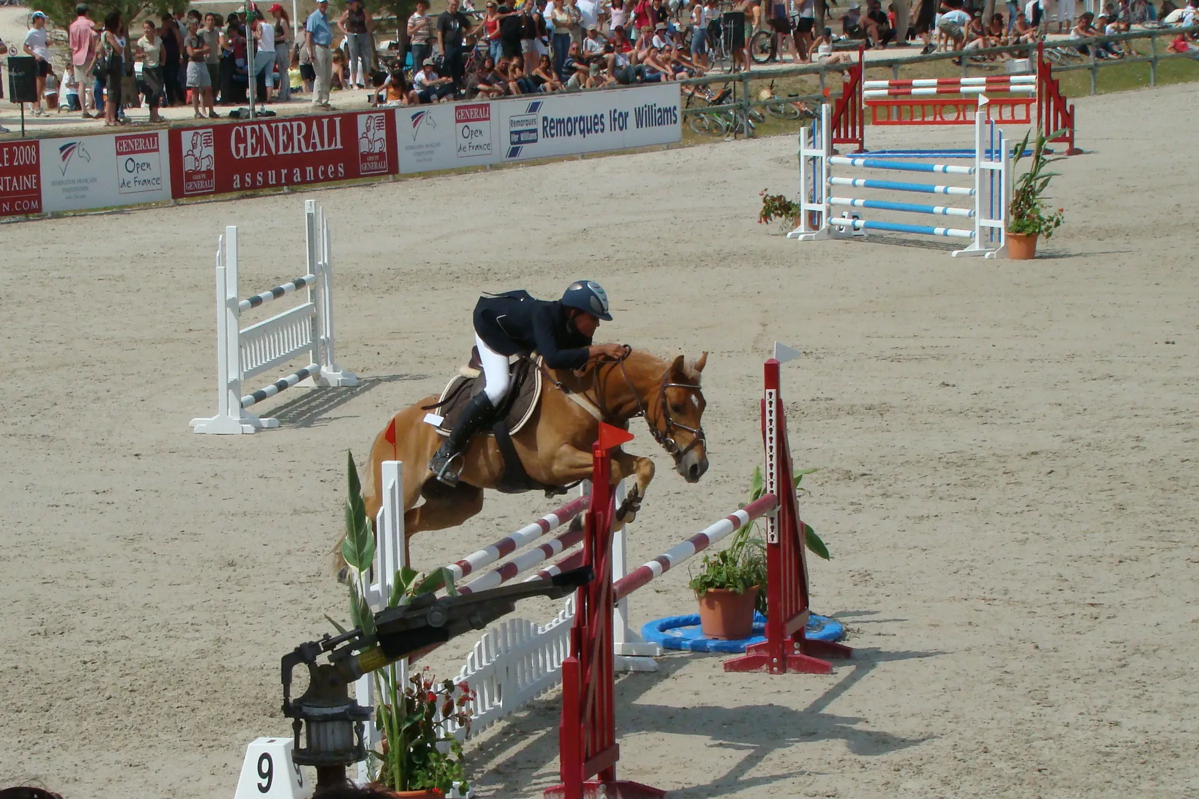 Rider and chestnut horse clearing a fence in the arena of the Generali Open de France in Lamotte-Beuvron