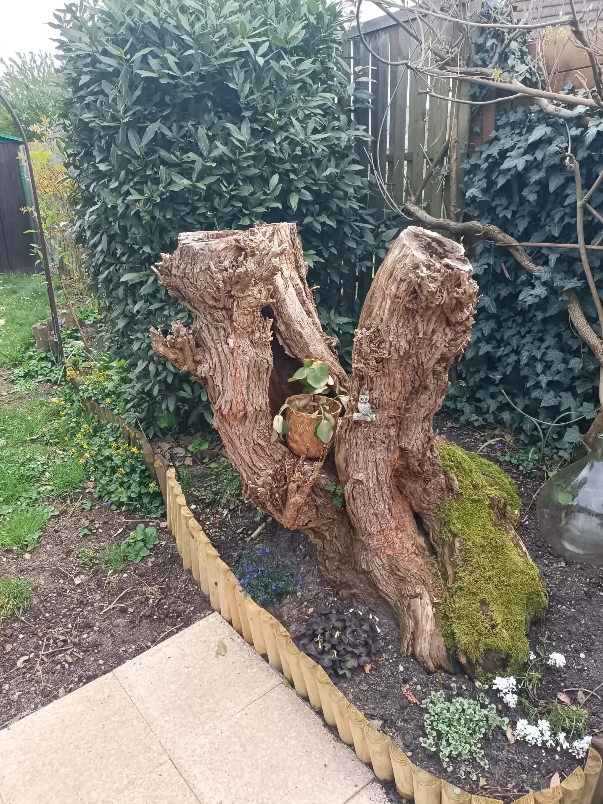 Garden, decorative tree stump