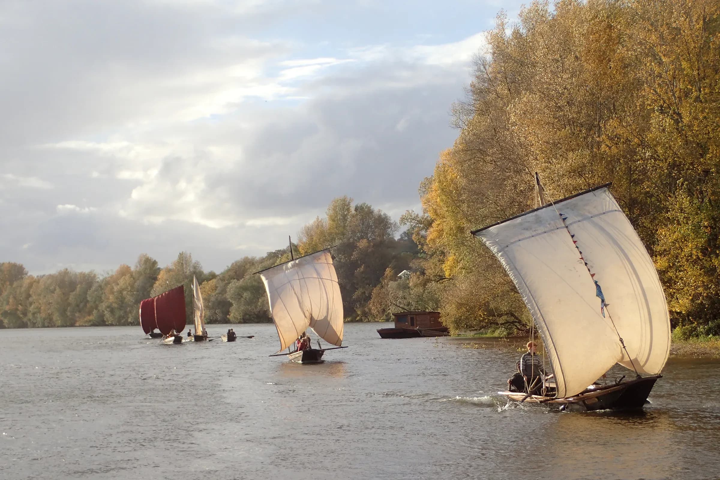 Toues de Loire sous voile carrée pendant une régate de bateaux traditionnels à Rochecorbon