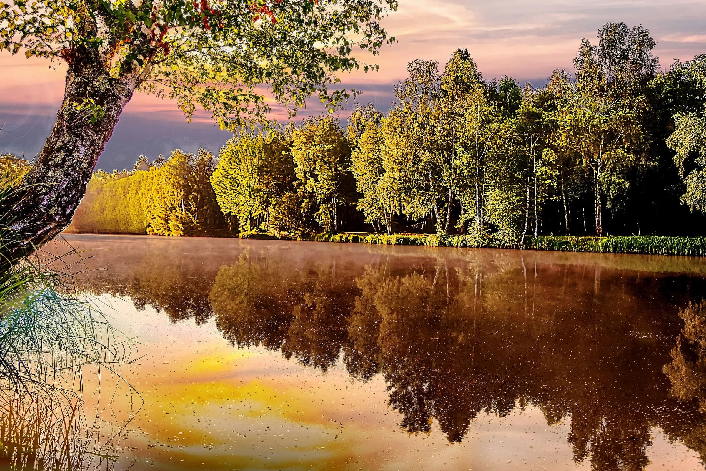 Sologne pond at daybreak, golden trees and light mist mirrored in the water