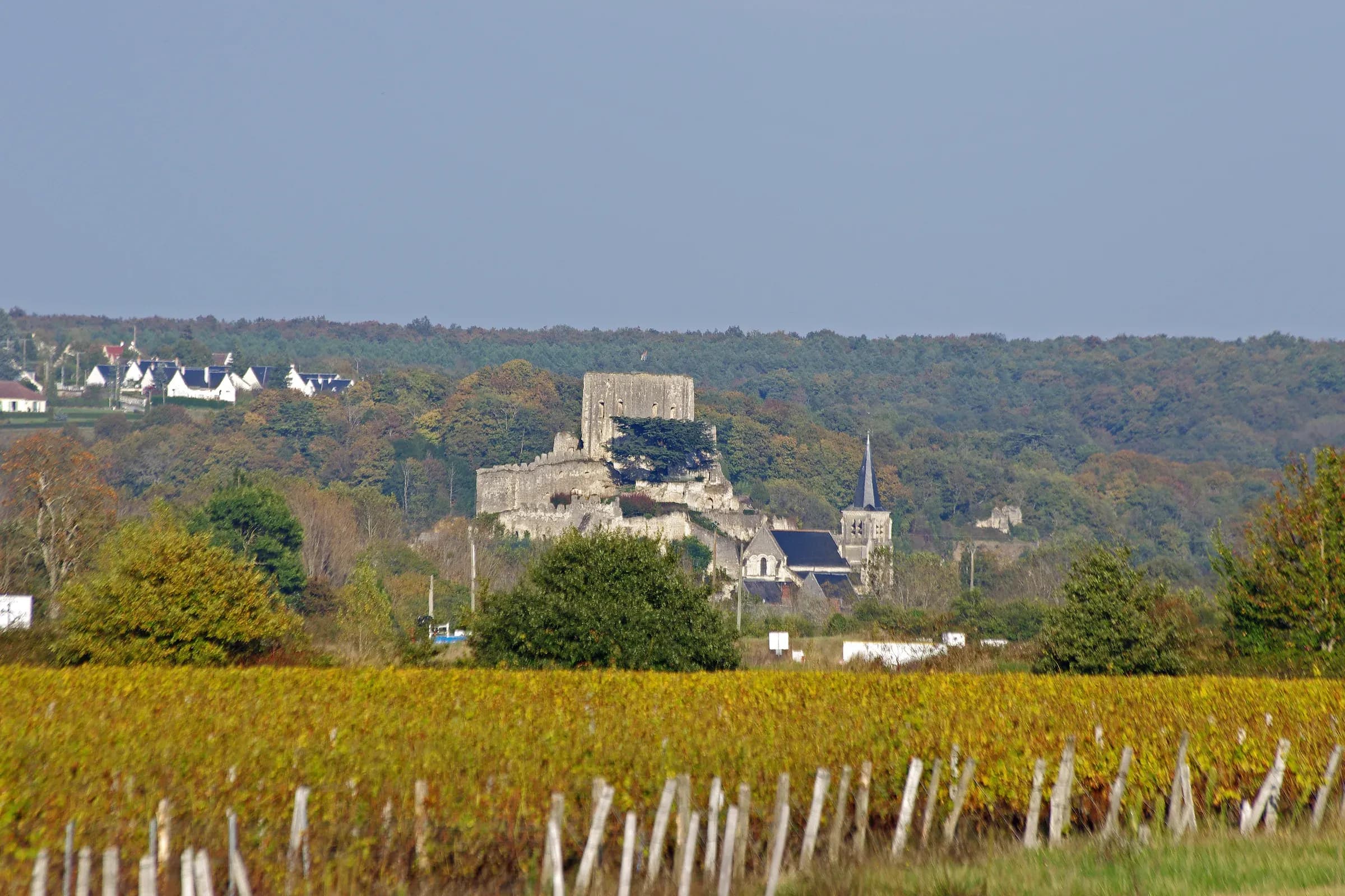 Montrichard et son donjon vus depuis les vignes jaunies du coteau, en automne